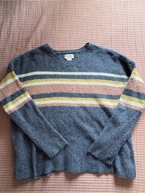 Arizona Jean Company Blue Stripe Crewneck Sweater